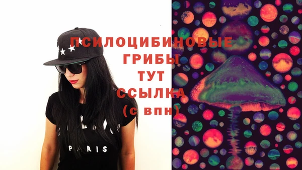 тгк Сатка