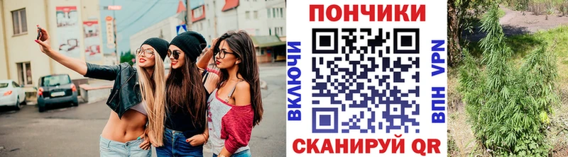 Конопля марихуана  Верхняя Тура 